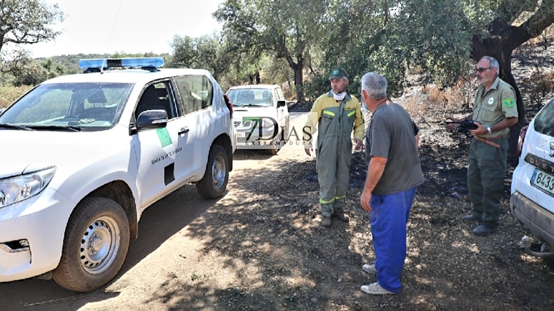 Incendio forestal entre La Roca de la Sierra y Villar del Rey