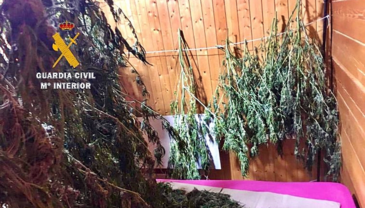 Detenido tras localizar en su vivienda más de 22 kilogramos de marihuana
