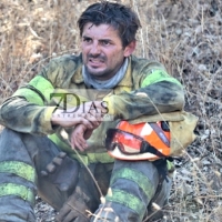 La vegetación extremadamente seca pone en riesgo de incendio a Extremadura