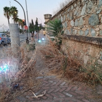 VOX solicita la limpieza del semibaluarte de Puerta de Palmas en Badajoz