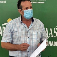 APAG recurre la resolución de la Junta que prohíbe la recogida nocturna de aceituna con cosechadora