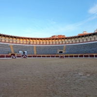 Podemos pide que se suspenda el festejo taurino de Almendralejo