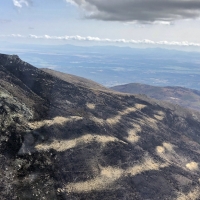 La Junta prohíbe cazar en los terrenos afectados por el incendio del Jerte y La Vera