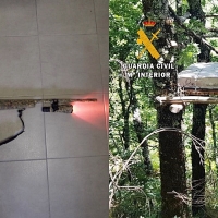 Detienen a un cazador furtivo dentro de la Reserva de Caza “La Sierra” de Gredos