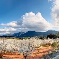 El Valle del Jerte entre las 10 maravillas naturales de España