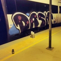 Detenido por realizar grafitis en dos vagones de tren en Cabeza del Buey