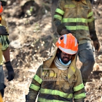 Incendio forestal entre La Roca de la Sierra y Villar del Rey