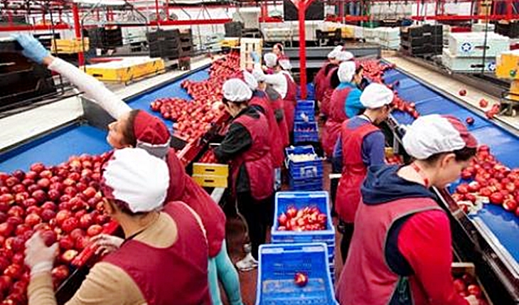 La Junta pone en valor el empoderamiento de la mujer en las cooperativas