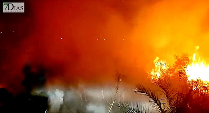 El Infoex interviene en 51 incidencias esta semana