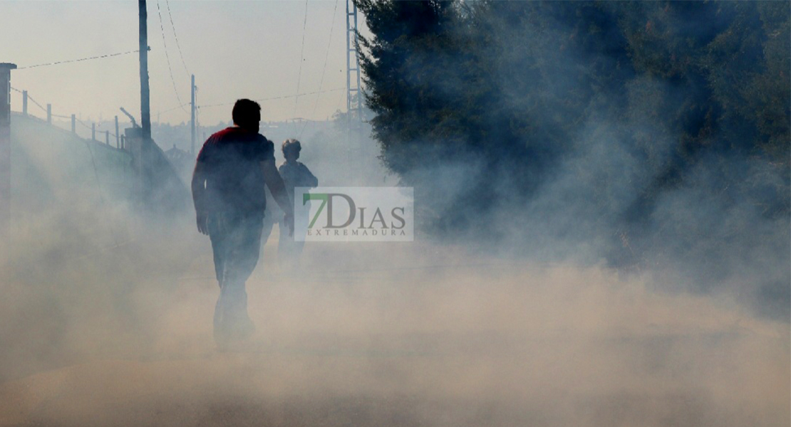 Un incendio afecta a varias parcelas en la Urbanización Las Rozas (Badajoz)