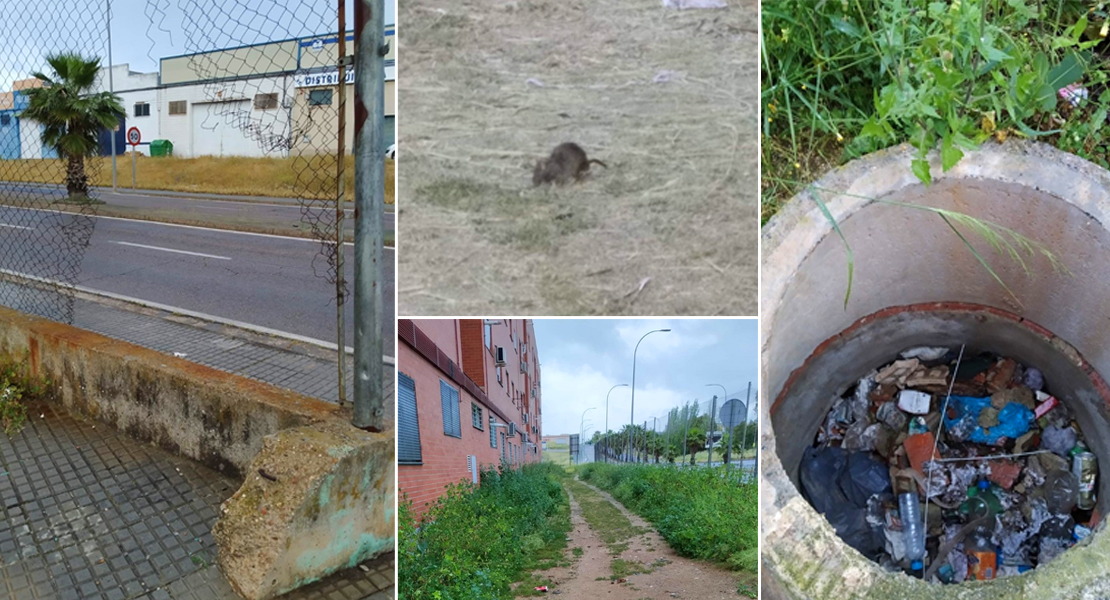 Cs alerta de la “suciedad y el abandono” que sufre la barriada de San Lázaro (Mérida)