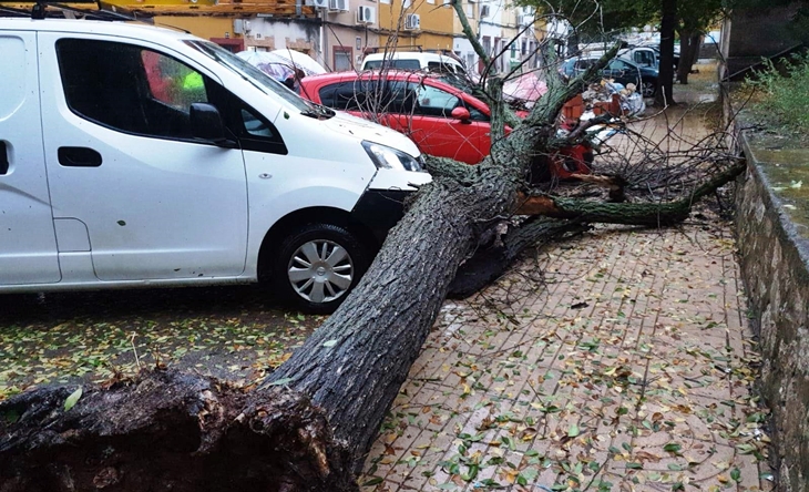 El paso de la borrasca ‘Bárbara’ deja desperfectos en Cáceres