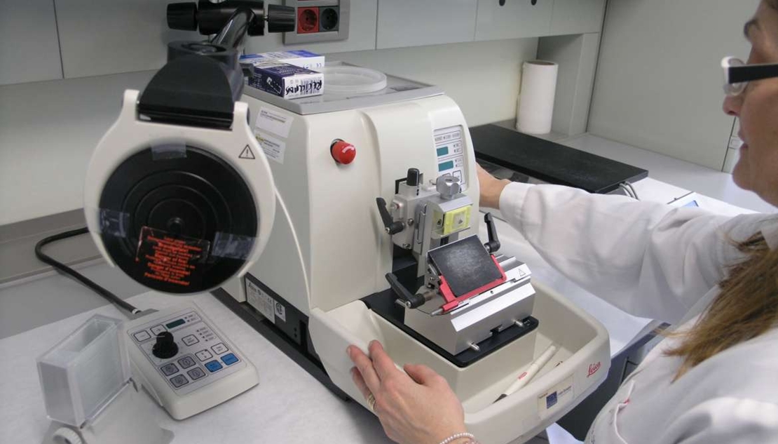 Extremadura duplica su producción científica durante la última década