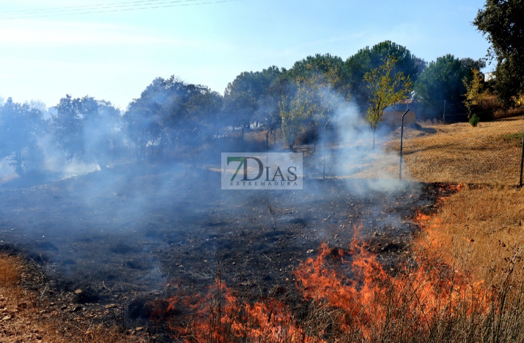 Un incendio afecta a varias parcelas en la Urbanización Las Rozas (Badajoz)