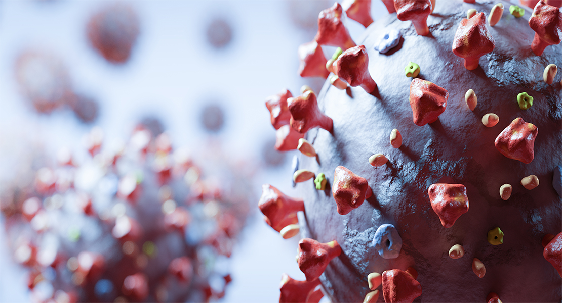 España participa en el desarrollo de un clon del SARS-CoV-2 para estudiar su biología molecular