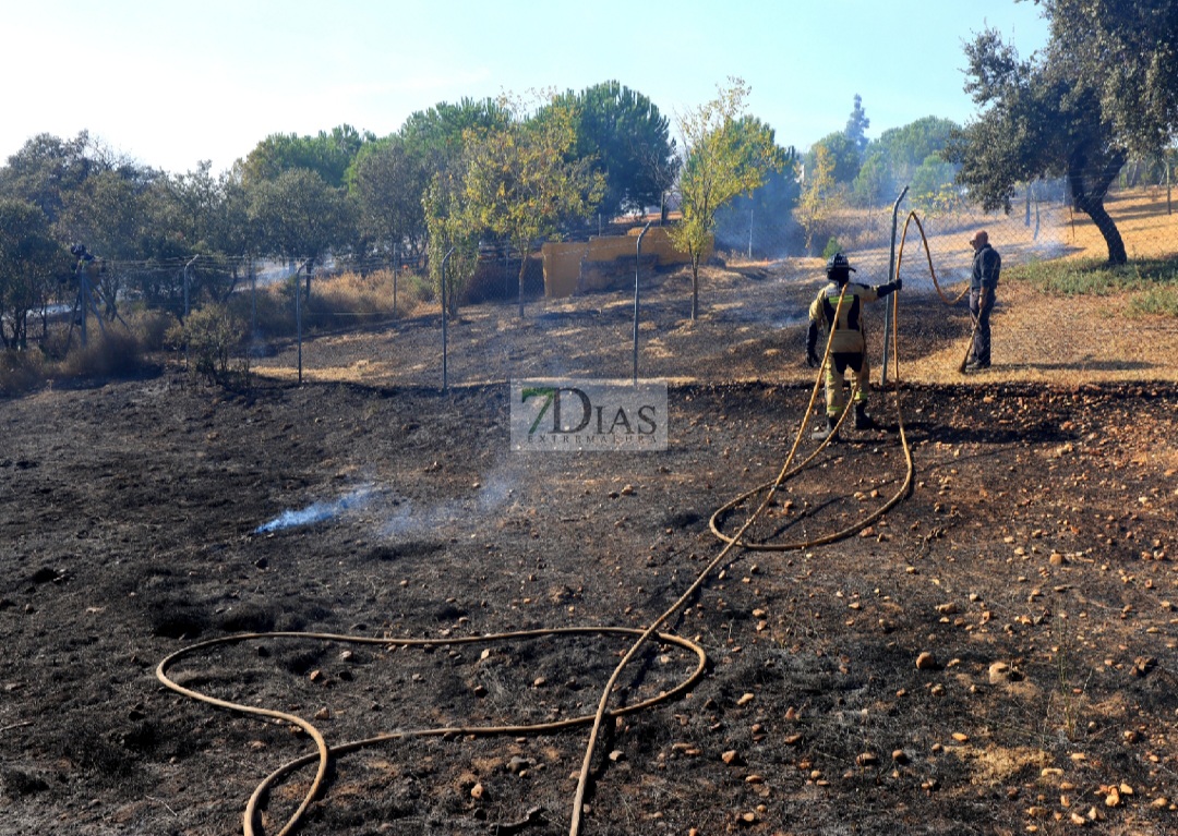 Un incendio afecta a varias parcelas en la Urbanización Las Rozas (Badajoz)