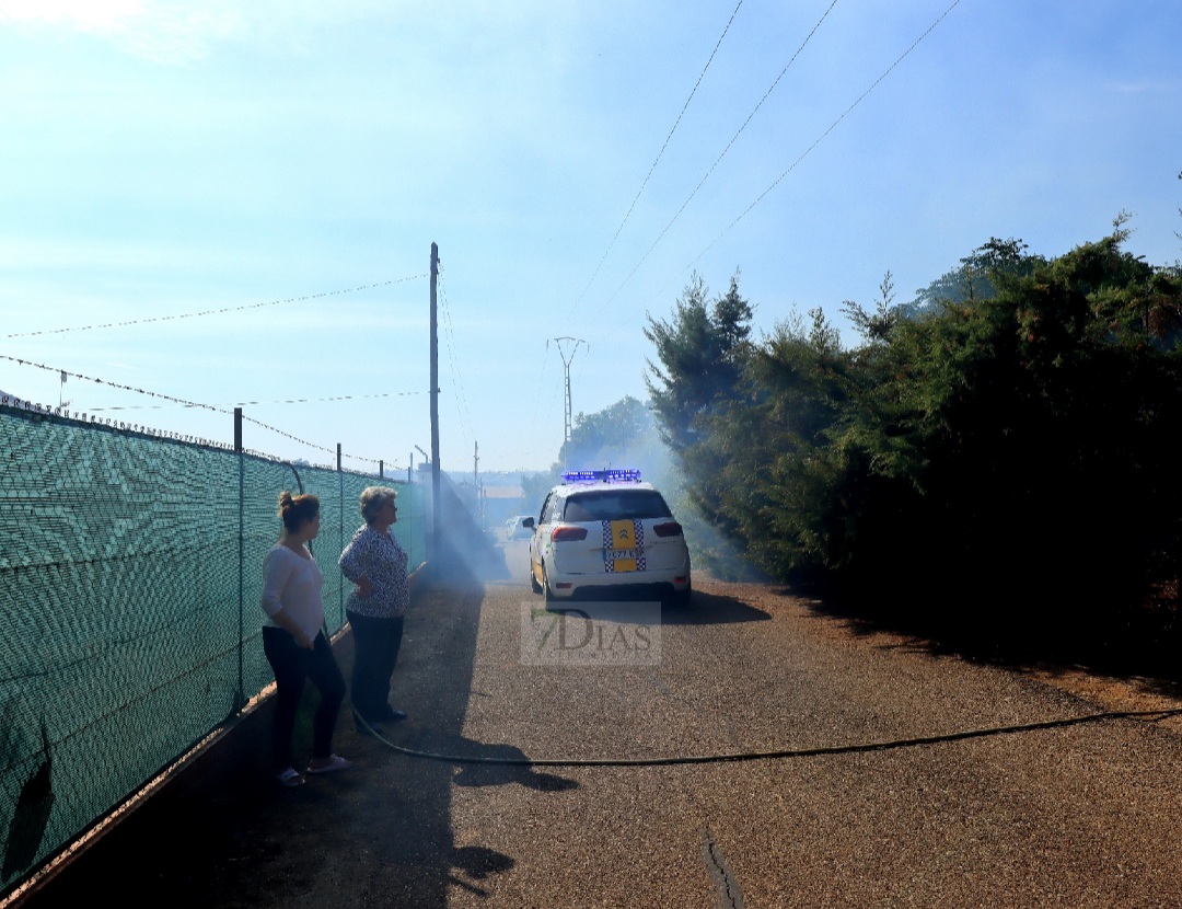 Un incendio afecta a varias parcelas en la Urbanización Las Rozas (Badajoz)