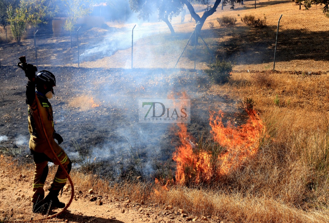 Un incendio afecta a varias parcelas en la Urbanización Las Rozas (Badajoz)