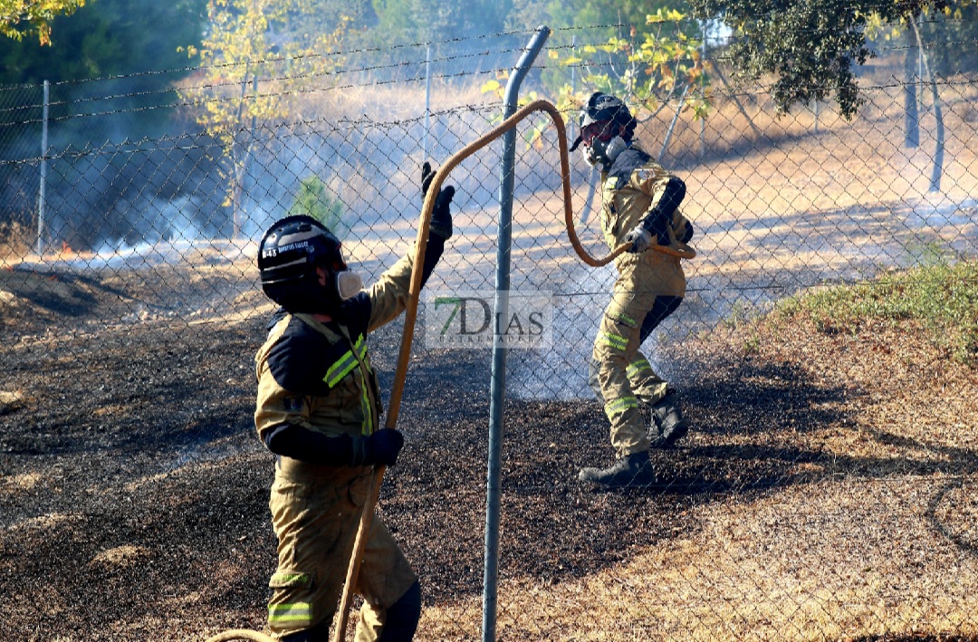 Un incendio afecta a varias parcelas en la Urbanización Las Rozas (Badajoz)