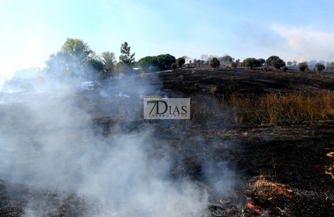 Un incendio afecta a varias parcelas en la Urbanización Las Rozas (Badajoz)