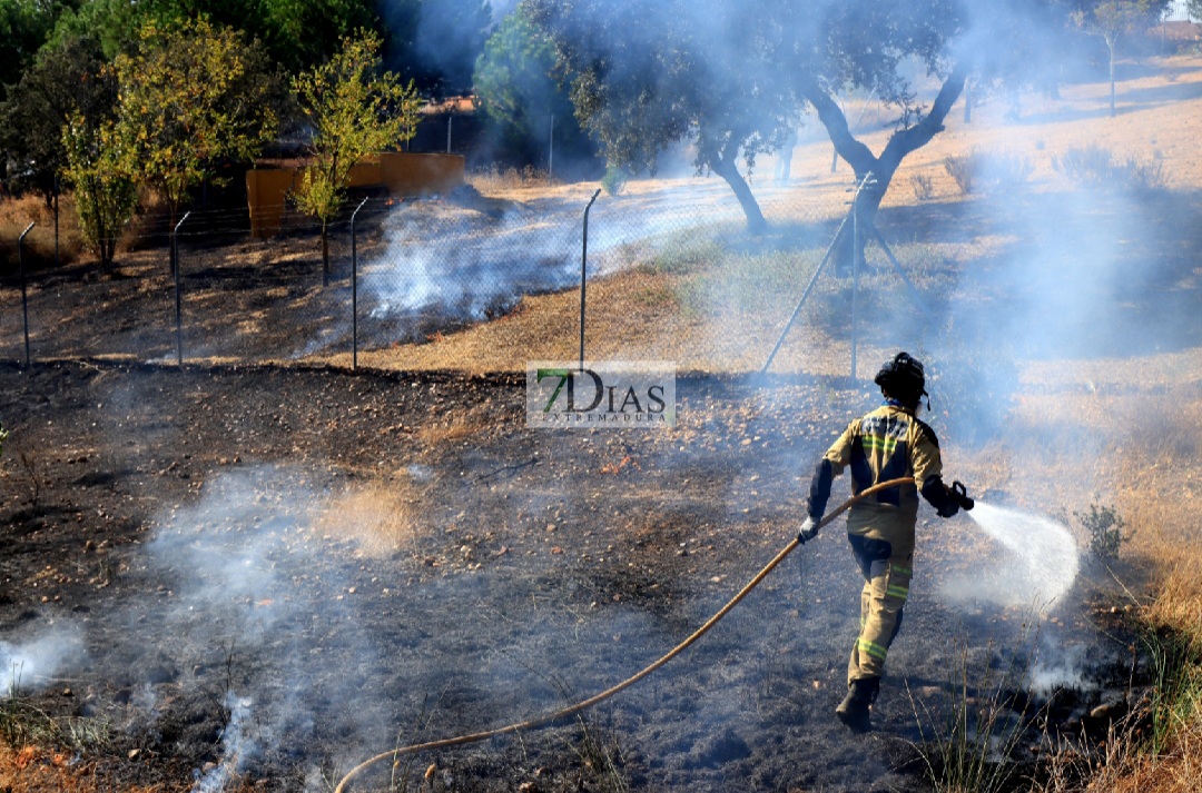 Un incendio afecta a varias parcelas en la Urbanización Las Rozas (Badajoz)