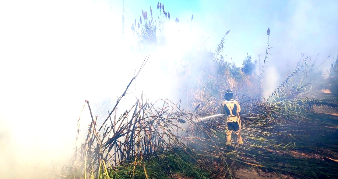 Bomberos de Badajoz trabajan en tres incendios en la ciudad