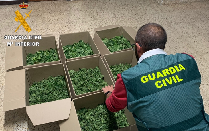 Actuaciones contra el tráfico de drogas y el cultivo de marihuana en la provincia de Cáceres