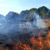 Un incendio afecta a varias parcelas en la Urbanización Las Rozas (Badajoz)