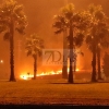 Incendio cercano a Las Vaguadas. Los vecinos muestra su malestar