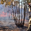 Incendio próximo a la urbanización Los Montitos (Badajoz)