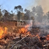Incendio próximo a la urbanización Los Montitos (Badajoz)