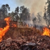 Incendio próximo a la urbanización Los Montitos (Badajoz)