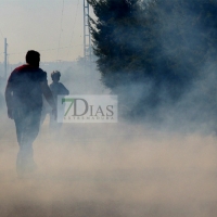 Un incendio afecta a varias parcelas en la Urbanización Las Rozas (Badajoz)