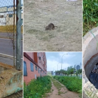 Piden al Ayto de Mérida que atienda las peticiones de los vecinos de San Lázaro