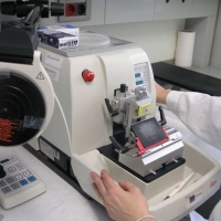 Extremadura duplica su producción científica durante la última década