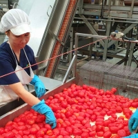 Notificadas las ayudas para la incorporación de 278 nuevos jóvenes agricultores