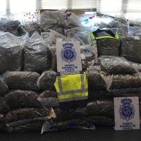 Intervienen 355 kilos de marihuana cuando iban a venderla a un grupo de narcos