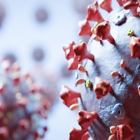 España participa en el desarrollo de un clon del SARS-CoV-2 para estudiar su biología molecular