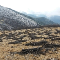 Obras de emergencia para restaurar zonas de Cáceres y Zamora afectadas por los incendios