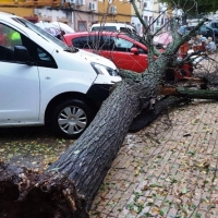 'Barbara', una borrasca de récords, hace honor a su nombre