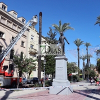 La caída de parte de una palmera dificulta el tráfico en la Avenida de Huelva (Badajoz)