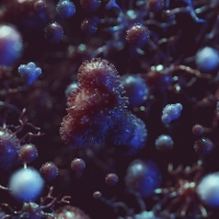 Extremadura liderará la ejecución de 5 proyectos orientados a la contención del COVID-19