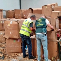 Incautadas 53 toneladas de hojas de tabaco ocultas en una nave de Lobón (Badajoz)