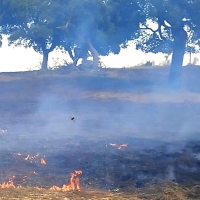 Incendio forestal cercano a San Vicente de Alcántara (BA)
