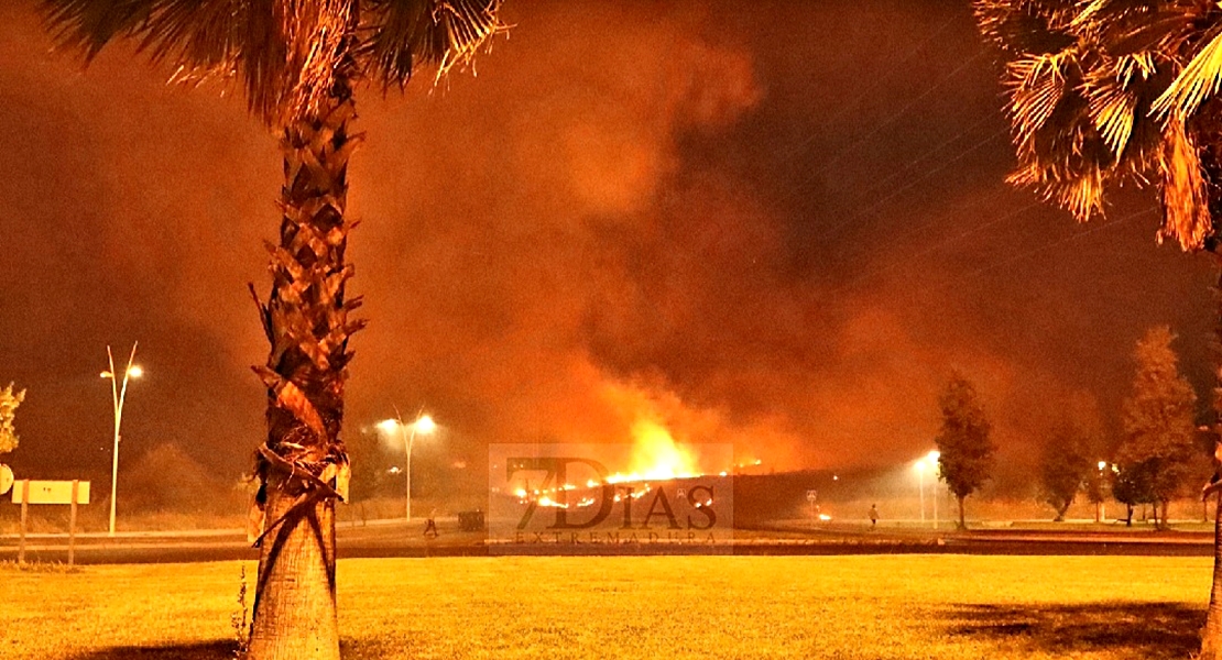 Incendio cercano a Las Vaguadas. Los vecinos muestra su malestar