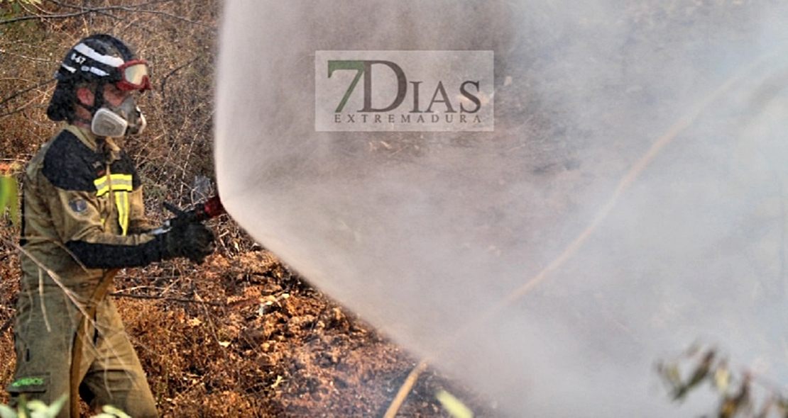 Incendio próximo a la urbanización Los Montitos (Badajoz)