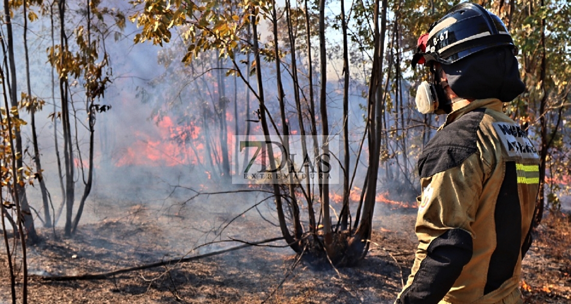 Incendio próximo a la urbanización Los Montitos (Badajoz)