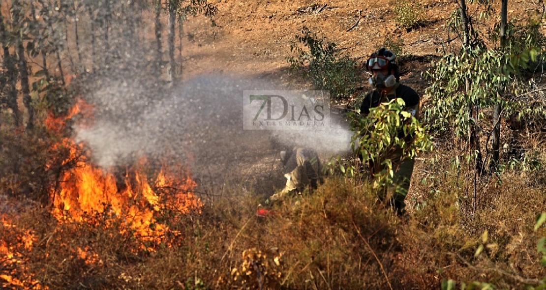 Incendio próximo a la urbanización Los Montitos (Badajoz)