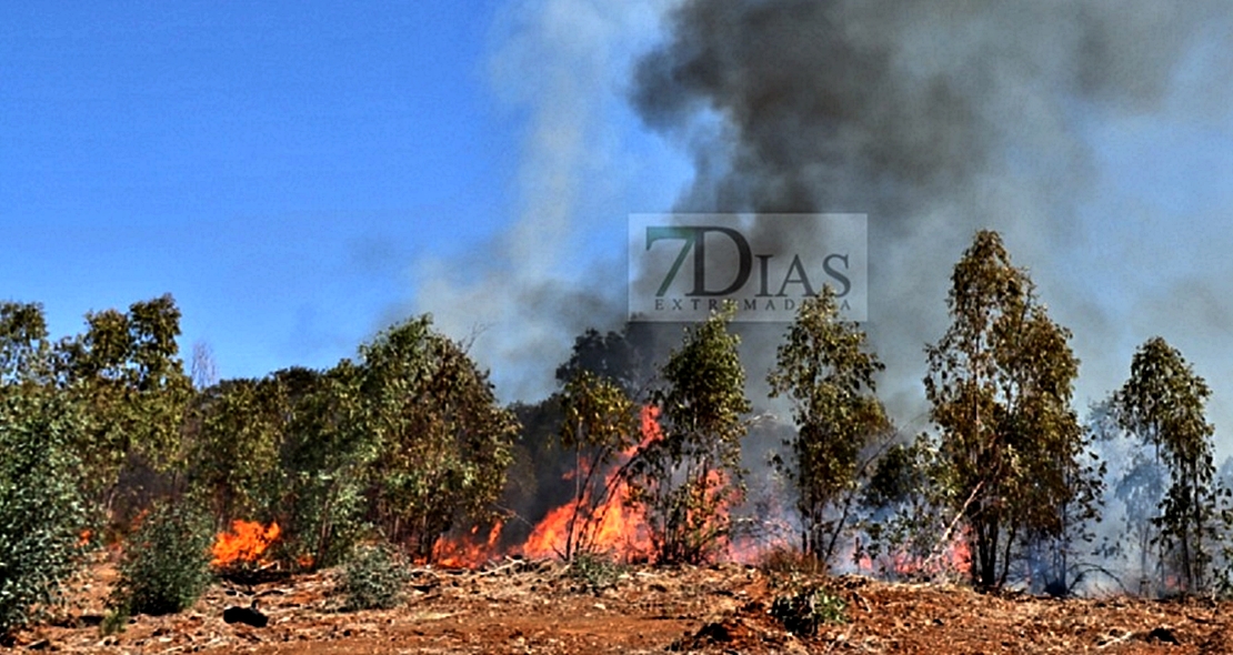 Incendio próximo a la urbanización Los Montitos (Badajoz)