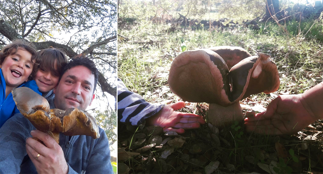 Un extremeño y sus dos hijos cogen un boletus de 1.100 gramos y más de 30 centímetros